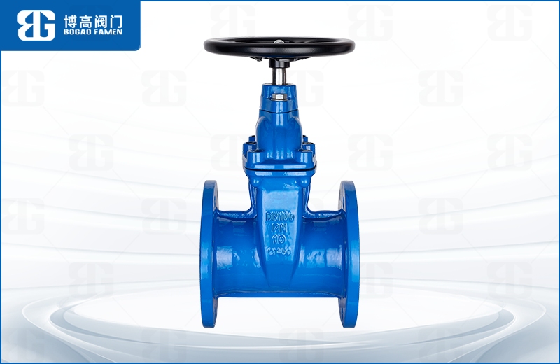 暗杆彈性(xing)座封閘閥(fa)