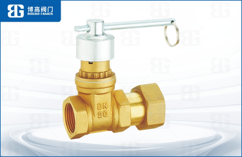 磁性鎖(suǒ)閉活接止(zhǐ)回閘閥