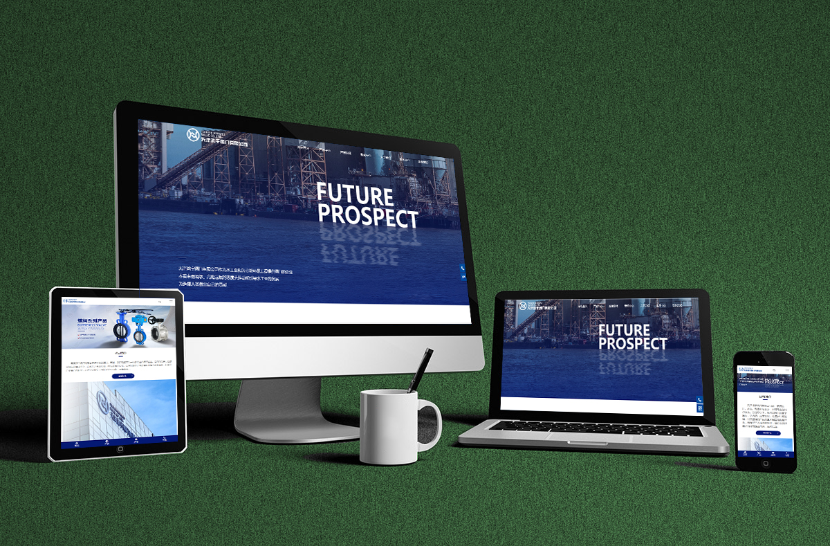 熱烈慶賀(he)南京博高(gao)閥門有限(xian)公司網站(zhan)正式開通(tōng)