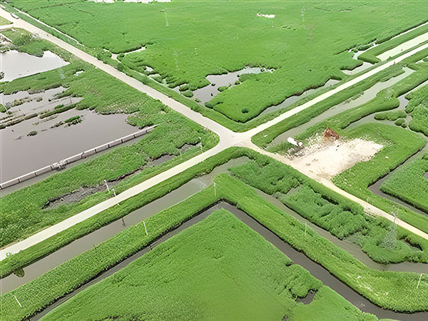 打(da)造綠色低碳(tàn)油田 做綠色(se)發展的“頂梁(liang)柱”