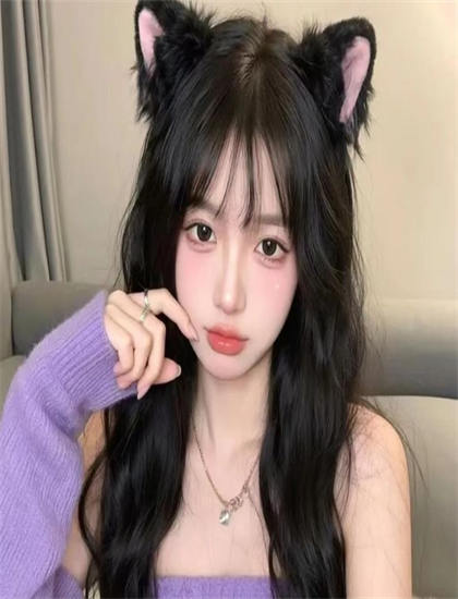 社会的《庇护季》讲了什么故事？完整剧情详细介绍